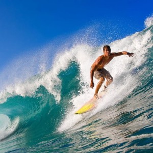 开云电竞平台注册-葡萄牙马术协会举办马术运动员国际交流活动，促进文化互鉴。，葡萄牙马竞球员